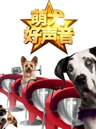 萌犬好声音英文